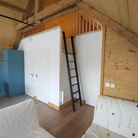 Logement Entre Lac Et Montagne Annecy Luaran gambar
